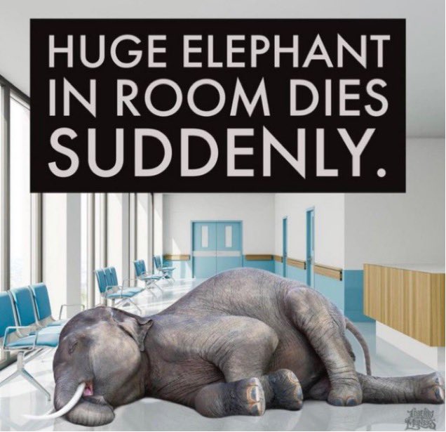 Captain Troy tweet media