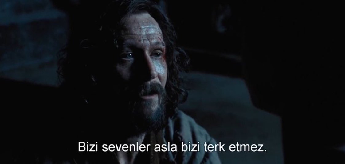 seni seviyorum diyordun. giderken bile. 
bir repliğe yenik düştüm.