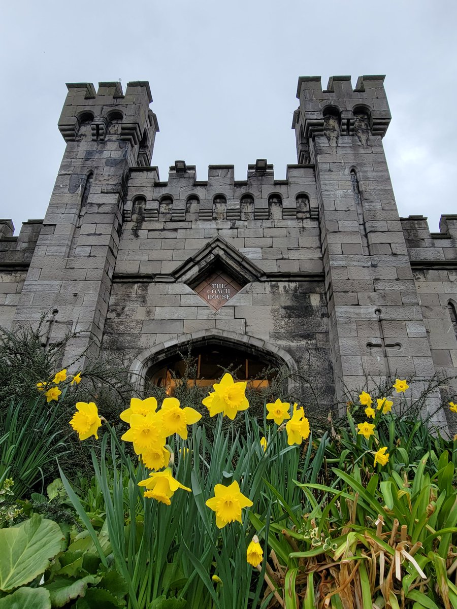 BeatBabel's tweet photo. Walking around Dublin was fun. Dodging rain and double-deckers... #Locwalk #GalaDublin https://t.co/jUAHdF0HTD