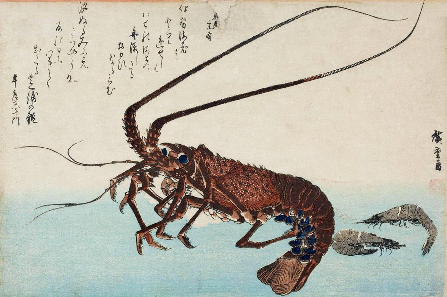 terrywhalin's tweet image. Do not worry about spoilers in a query letter by Nathan Bransford (@NathanBransford) at:   ow.ly/xgkS50NapGq #QueryLetters #writingtip