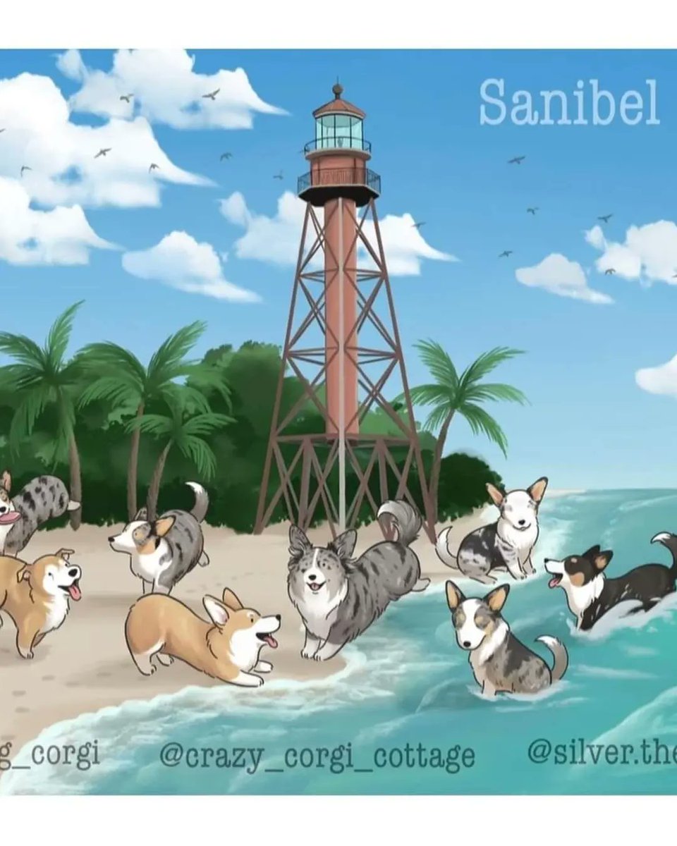 KaroleWithaK's tweet image. A Corgi-captivating fundraiser was started by Silver &amp;amp; mom Kelli King to help 2 #Sanibel nonprofits (CROW and the Shell Museum) - I donated &amp;amp; got my sticker from my fur-niece account.venmo.com/u/SanibelCorgi… 

#HurricaneIanRecovery #SWFLStrong #SanibelCorgis #CorgiFUNdraiser