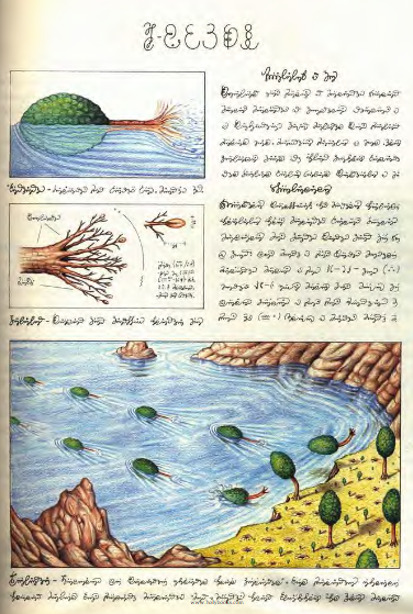 _simonkinch's tweet photo. @tobylitt Luigi Serafini - Codex Seraphinianus https://t.co/zIkWcA76D7 https://t.co/elYd9BhjlU