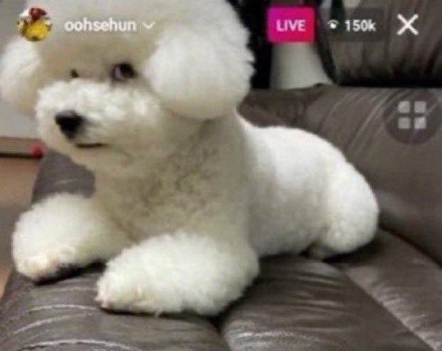 Yo viendo a ver si mi novio se fija en las morritas que están topless en la playa

Bombastic side eye*