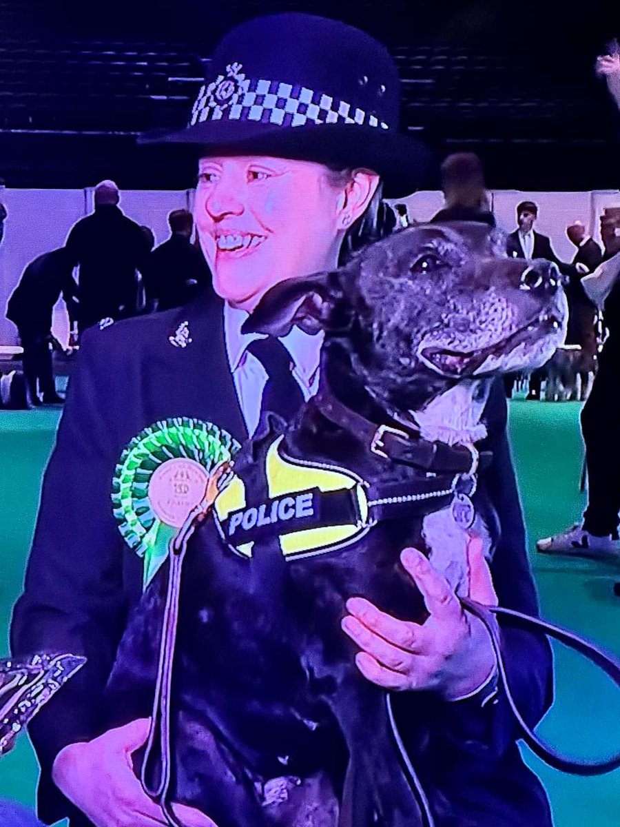 My true Star and Best in Show for #crufts2023 @RPD2025STELLA 😉