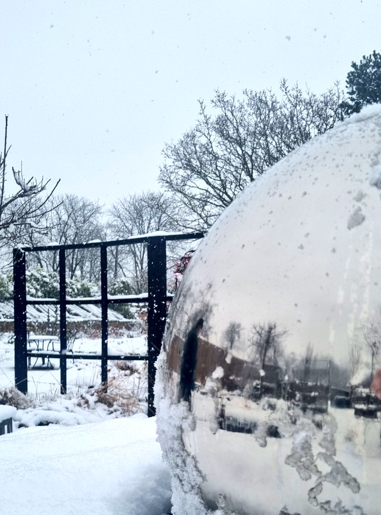 HeatherWardLPT's tweet photo. ❄️📷 Some lovely shots of the snow from our photography sessions this week 📷❄️ 

@Raising_Health_ @LPTChair @LPTnhs @BradgateUnit @LPT_Activities @secretgardenuhl https://t.co/E7nMFWHcoR