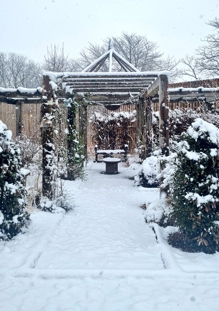 HeatherWardLPT's tweet photo. ❄️📷 Some lovely shots of the snow from our photography sessions this week 📷❄️ 

@Raising_Health_ @LPTChair @LPTnhs @BradgateUnit @LPT_Activities @secretgardenuhl https://t.co/E7nMFWHcoR
