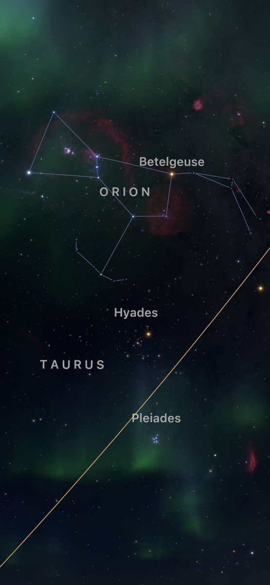 nutkinsc's tweet image. I’ve missed these, very happy to be back #StHelena #sainthelena #island #milkyway