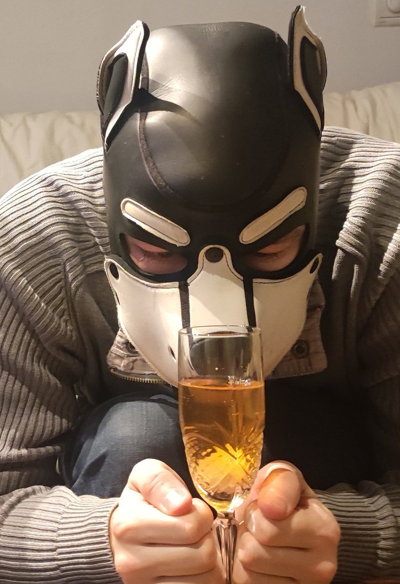 MasterNico95's tweet photo. Cherchez l'intrus
Parmi ces 4 pups un n'est pas un puppy mais un handler lequel ?
@MasterNico95
@PupRhax
@HardGaySexSlave
@pup_akari
#puppyplay #pupmood #puppylove #puphuman #dog #pupgay #pethuman #fetish #pupfetish #fetishgay https://t.co/KEdeZAglZ5