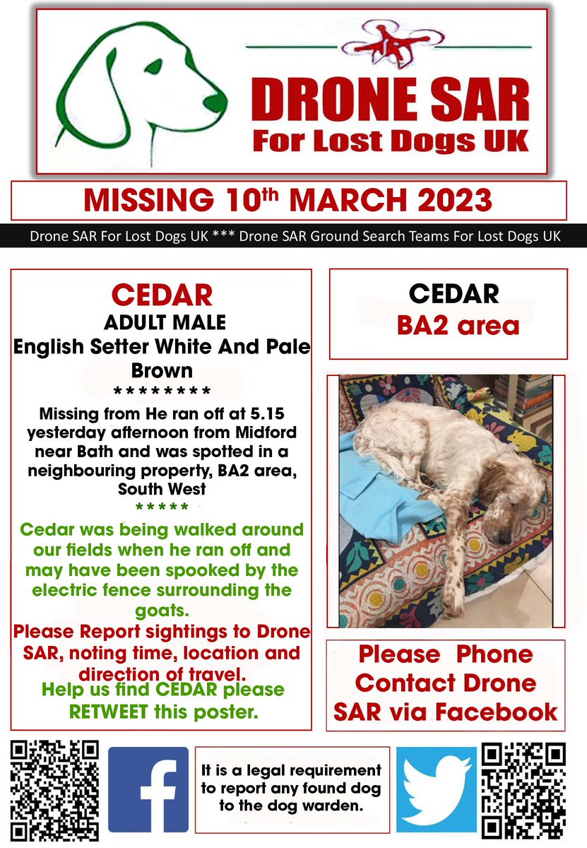 #LostDog #Alert CEDAR
Male English Setter White And Pale Brown (Age: Young Adult)
Missing from He ran off at 5.15 yesterday afternoon from Midford near Bath and was spotted in a neighbouring property, BA2 area, South West on Friday, 10th March 2023 #DroneSAR #MissingDog