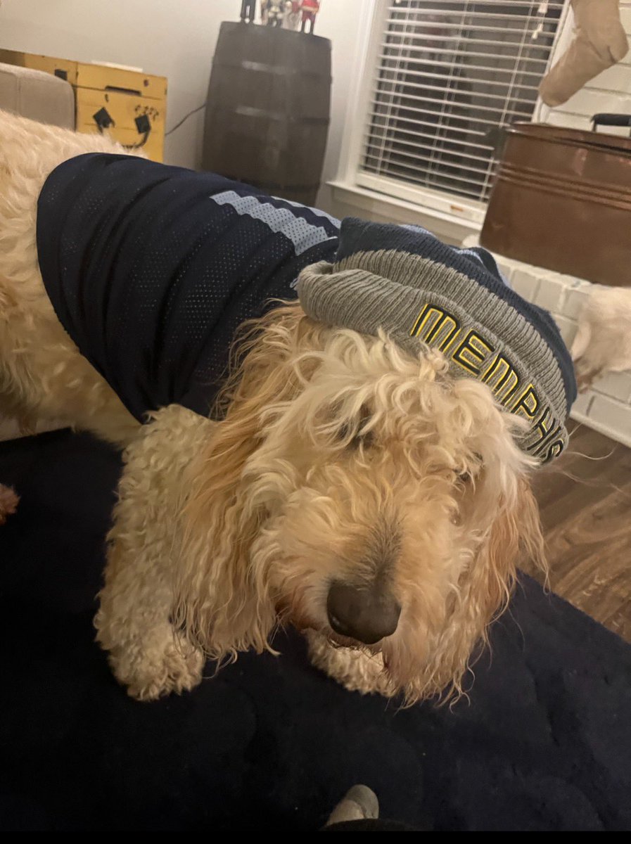 enbarton87's tweet photo. @memgrizz @memgrizz  I have two little grizz fans who rock their gear but I have ONE MEGA fan that would love to go to the game #gizznation #gogrizz https://t.co/gqqa7UqHxu
