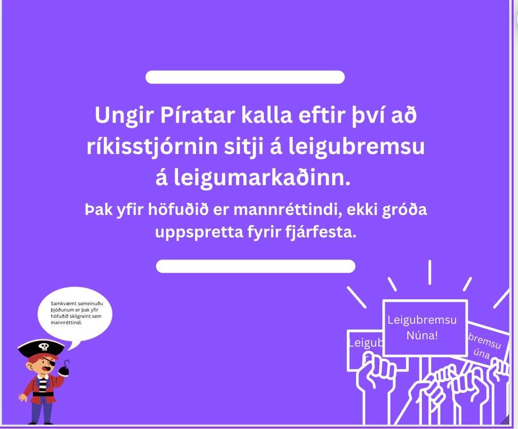 Ungir Píratar (@ungirpiratar) on Twitter photo 