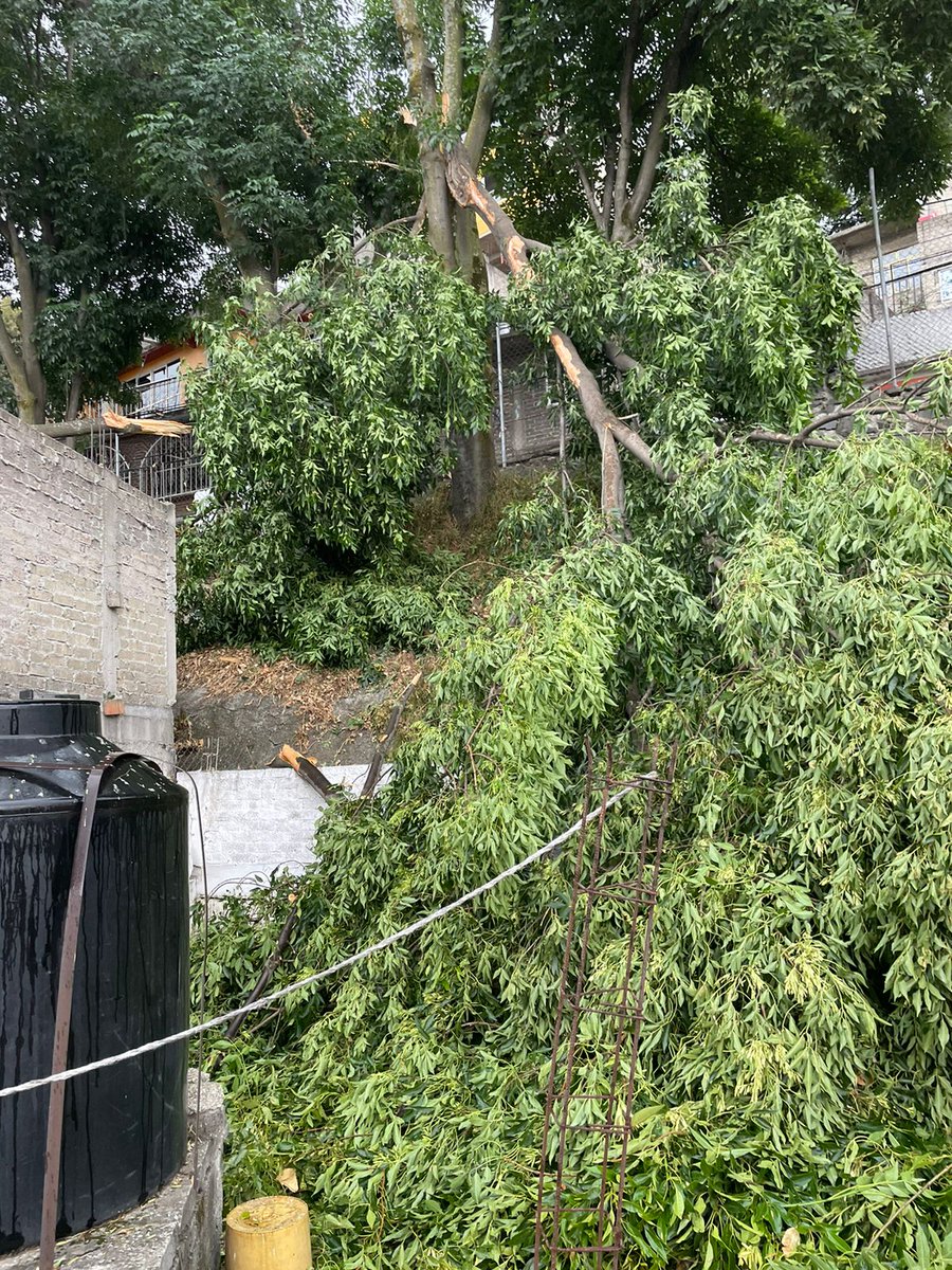 InmovSoluciones's tweet photo. @TlalpanAl @Bomberos_CDMX  pido su ayuda para poder brindar apoyo. https://t.co/N8aQBmQLlG