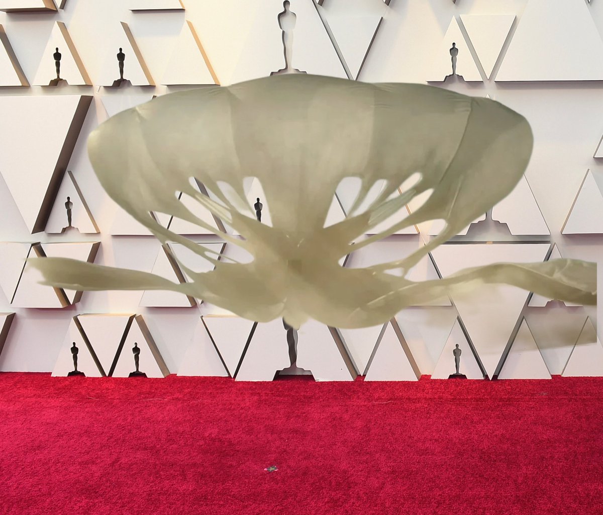 🦧🥞 on X, image size:1200x1024