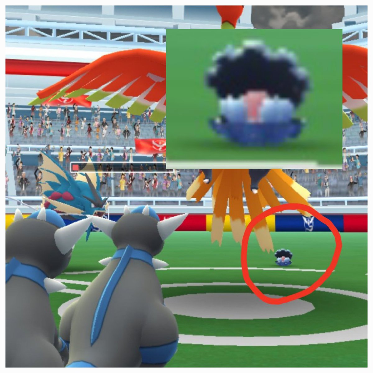 Valarrian tweet media