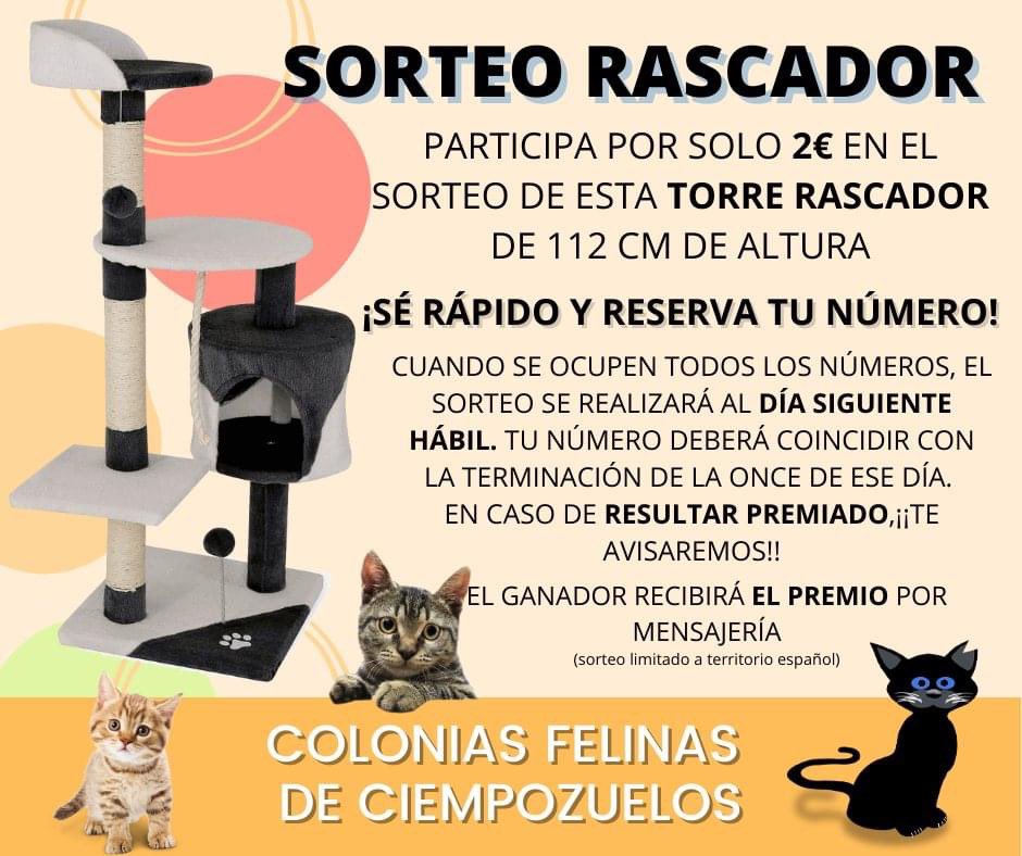 Colonias Felinas Ciempozuelos tweet media