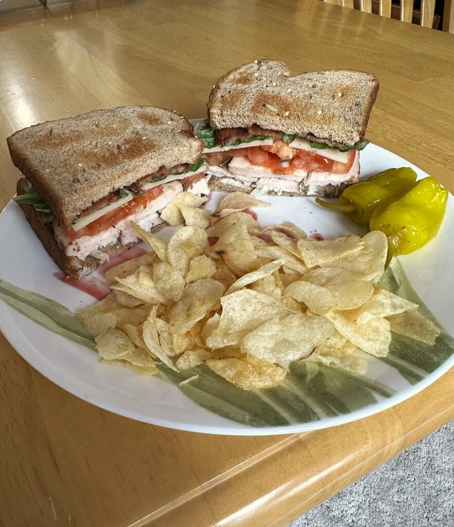 sandwichrecipez's tweet photo. turkey club: smoked turkey, mayo, onion, tomato, lettuce, bacon, swiss, honey mustard dressing on toasted multigrain https://t.co/SGxD456YeA