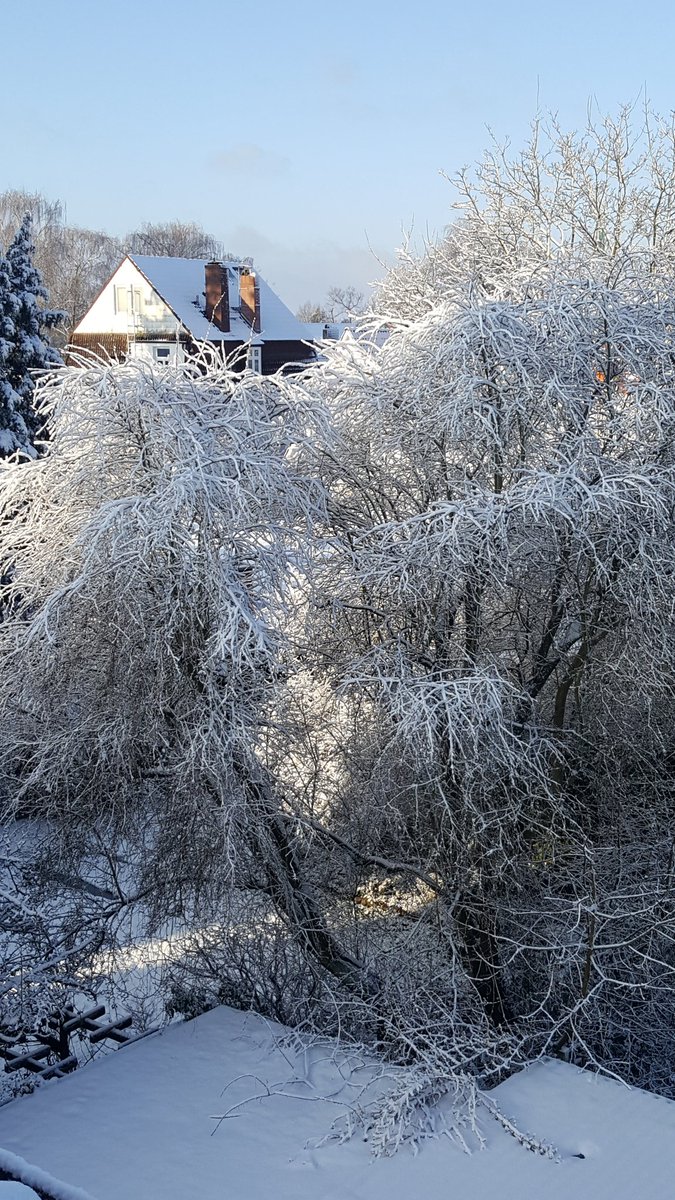 HumayraBakht's tweet photo. Inside and outside of home. #Germany #Spring https://t.co/yhOXRncS8p