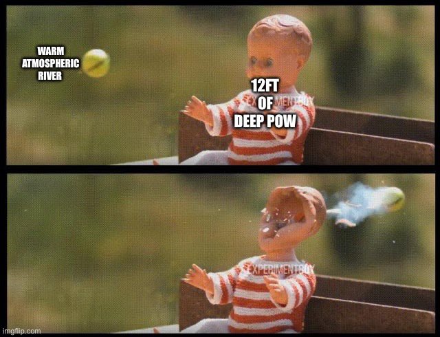 NltProblems tweet picture
