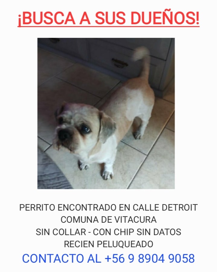 AUN NO APARECEN SUS DUEÑOS! POR FAVOT RT <a href="/botaspuesta/">Paula BotasPuestas</a>