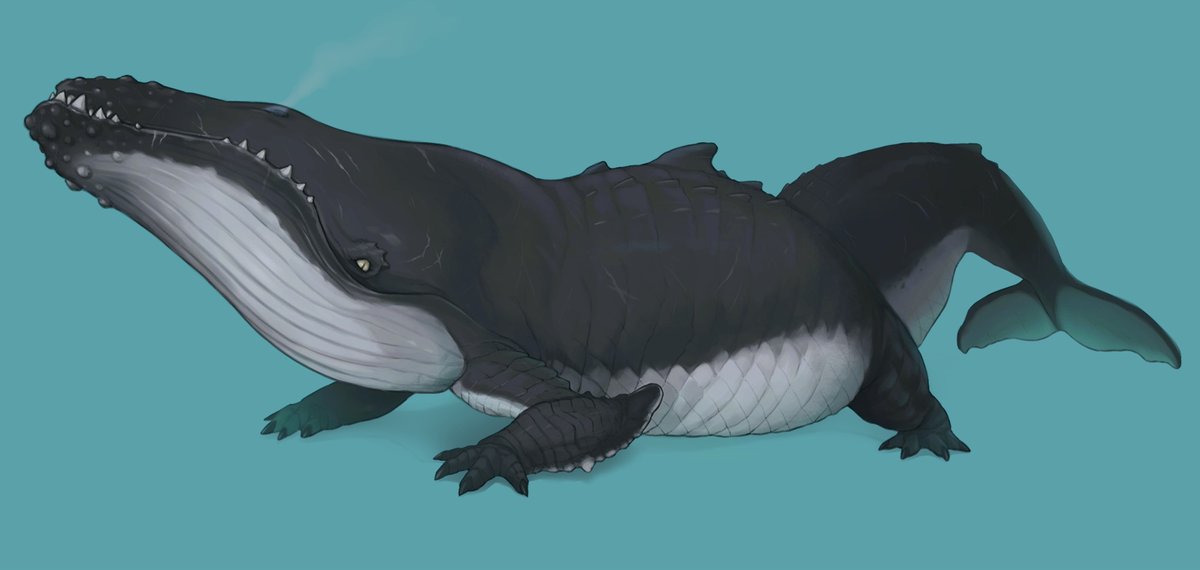 「鯨鰐 」|Daonのイラスト