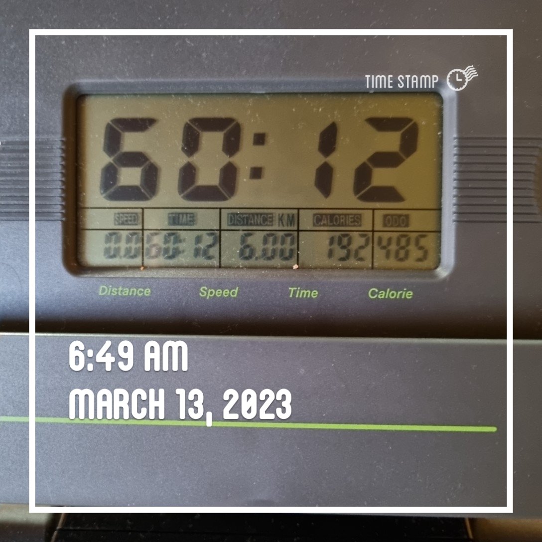 또바기개나리 tweet media