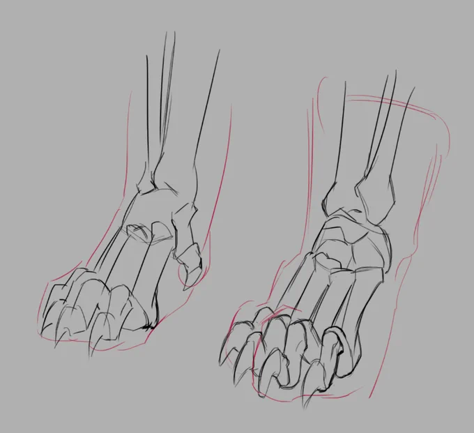 The evil paws  