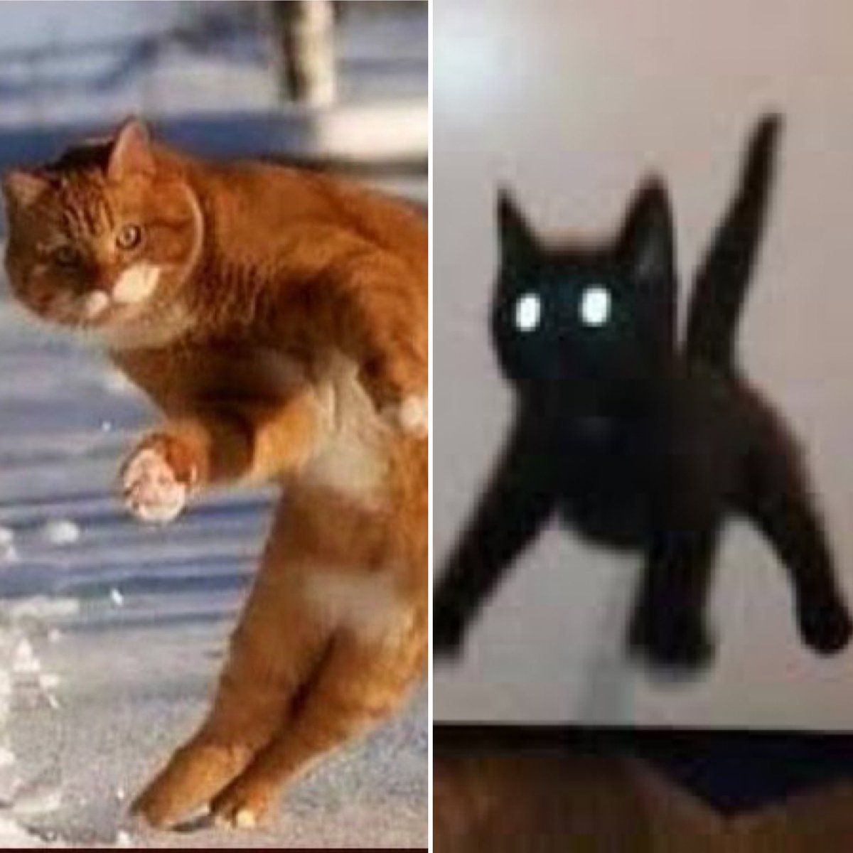 DaviePops 🇬🇧🇺🇸🇬🇧 tweet media