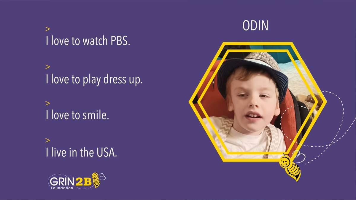 GRIN2Bsyndrome's tweet photo. Meet Odin! He loves playing dress up watching PBS! 💛🐝💛
#facesofGRIN2B #grin2bees #GRIN2BAwareness https://t.co/0yUciSwW0O
