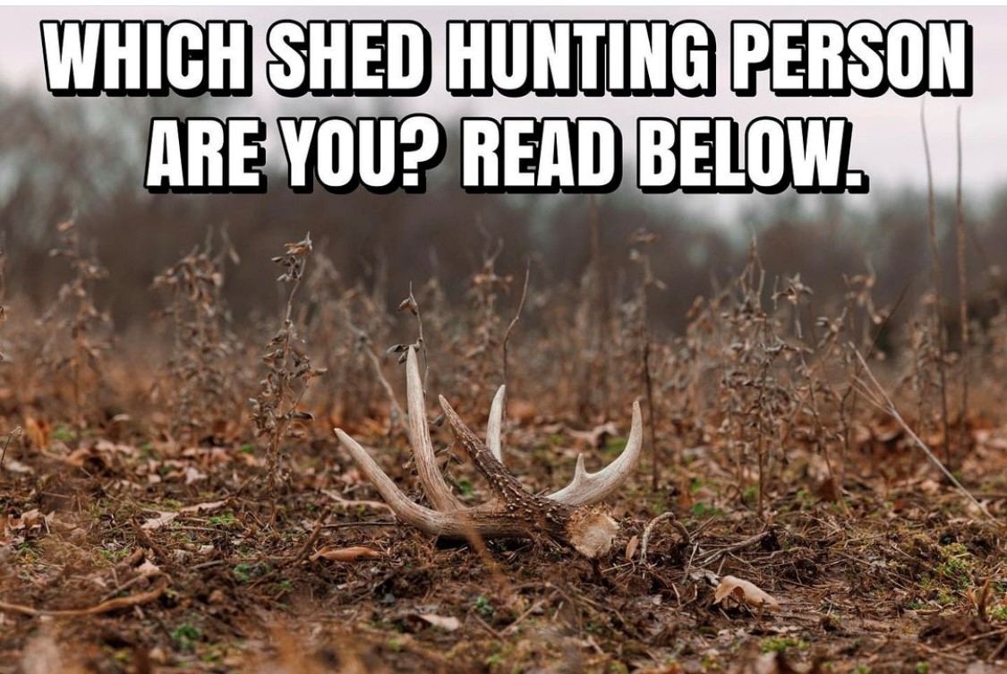 Which shed hunter are you? - Shared by @DruryOutdoors A. The one who finds all the sheds B. The one who watches everyone else find sheds 😂 C. The one that doesn't look for sheds #FindYourAdventure #shed #shedhunting #shedseason #shedrally #shedhunter