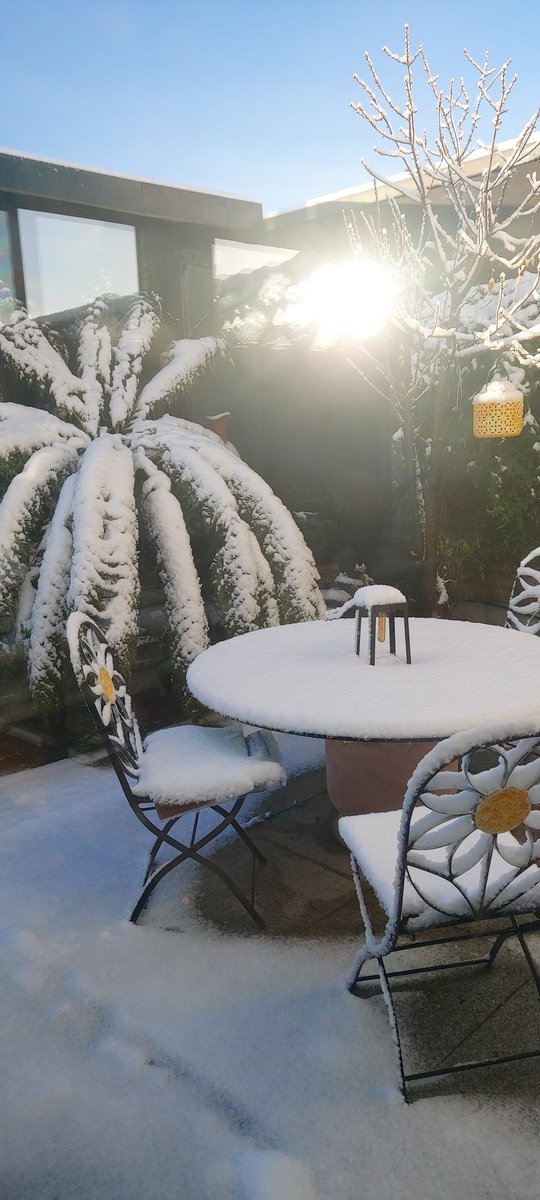 samohtp's tweet image. #100daysofwalking changing of the seasons looking forward living now #keepactive #round2crew #round3crew 
Beautiful night &amp;amp; day 
Beautiful memories 
@dlrSportsTeam
@NTBreakfast @NewstalkFM @AgeFriendlydlr