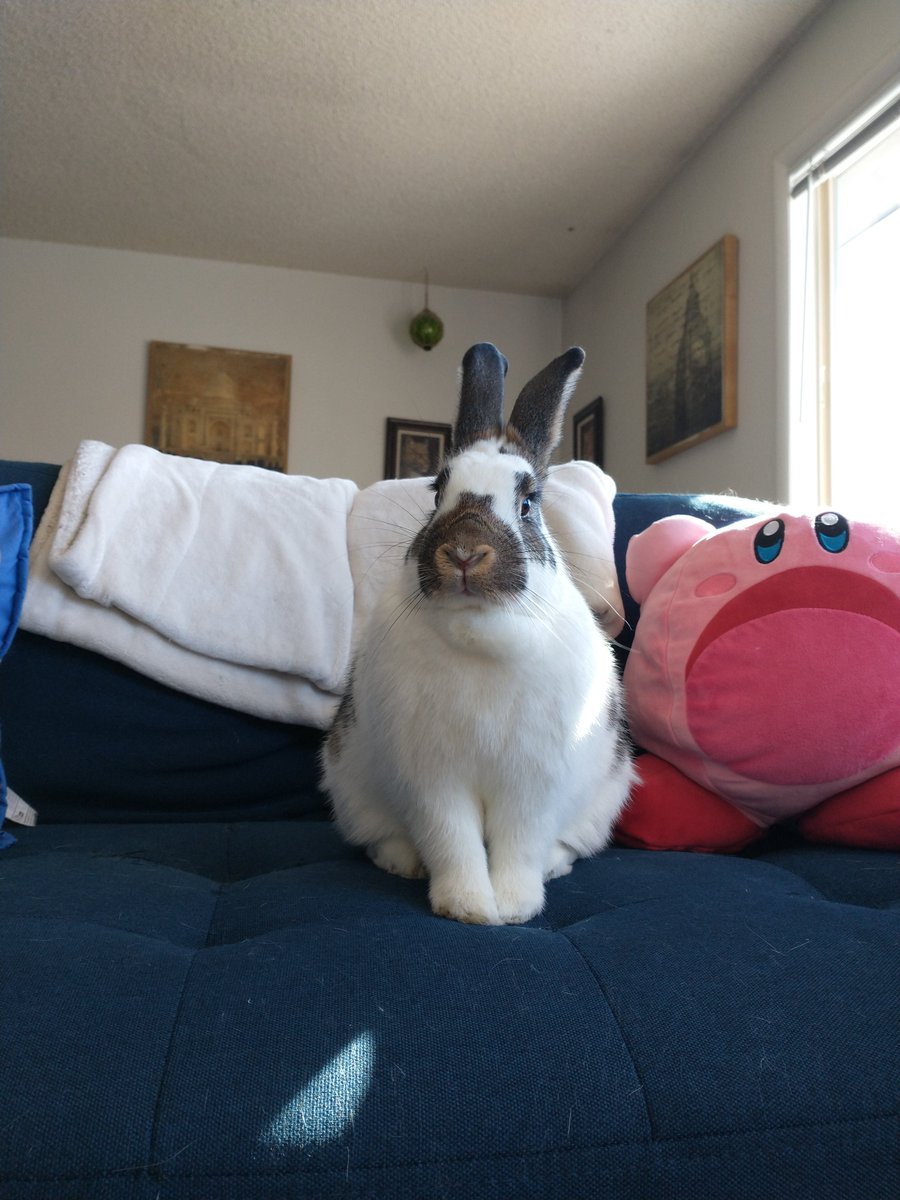 Princess Sephiroth 🍉 tweet media