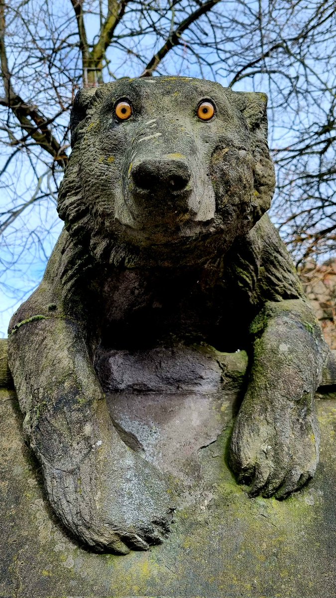 Bear with us... #CityLifeCardiff