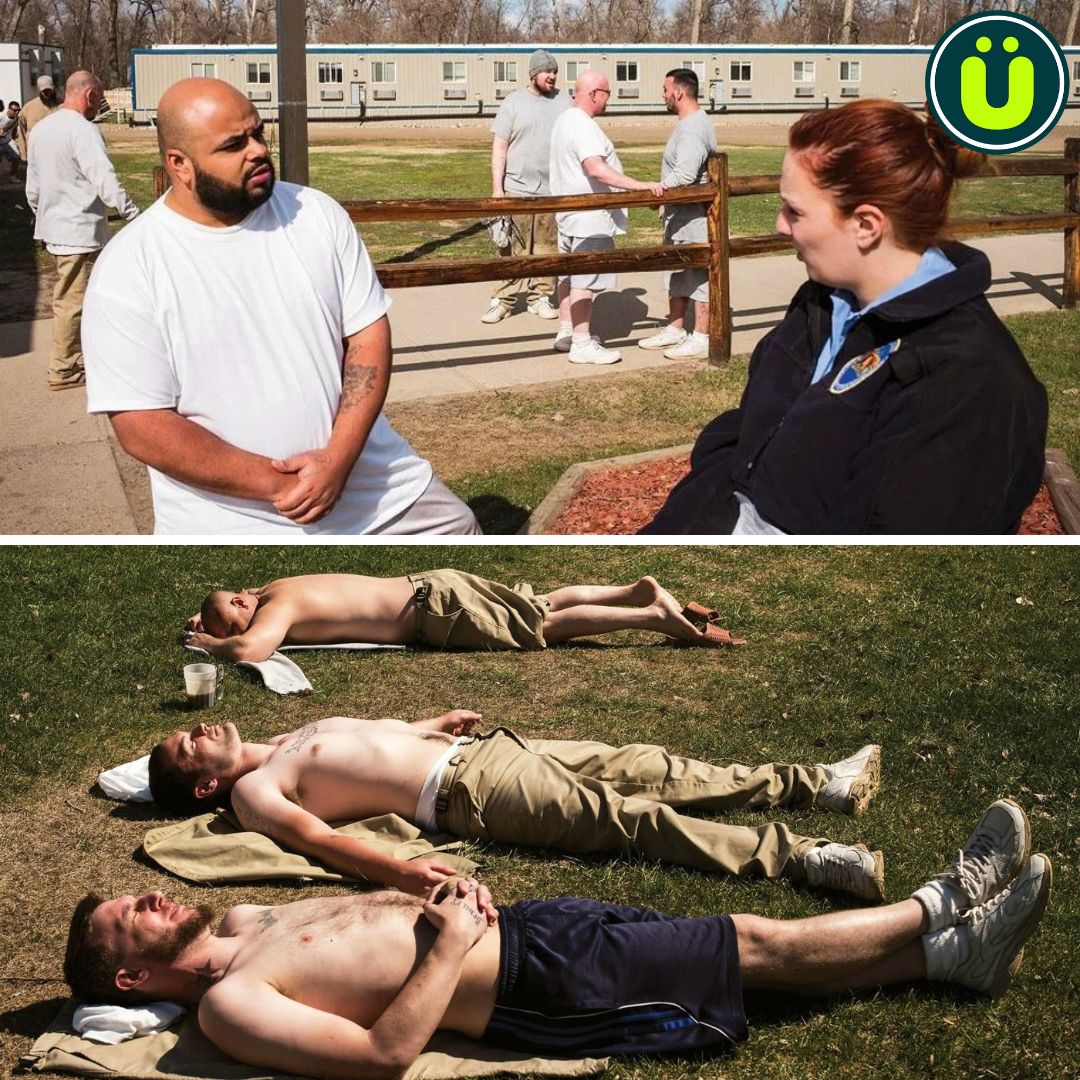 After visiting a prison in Norway that treated prisoners humanely, directors from the North Dakota Department of Corrections reformed their prisons based on Norway's model of rehabilitation

After adopting the "Norwegian approach," inmate violence sharply declined, and staff use