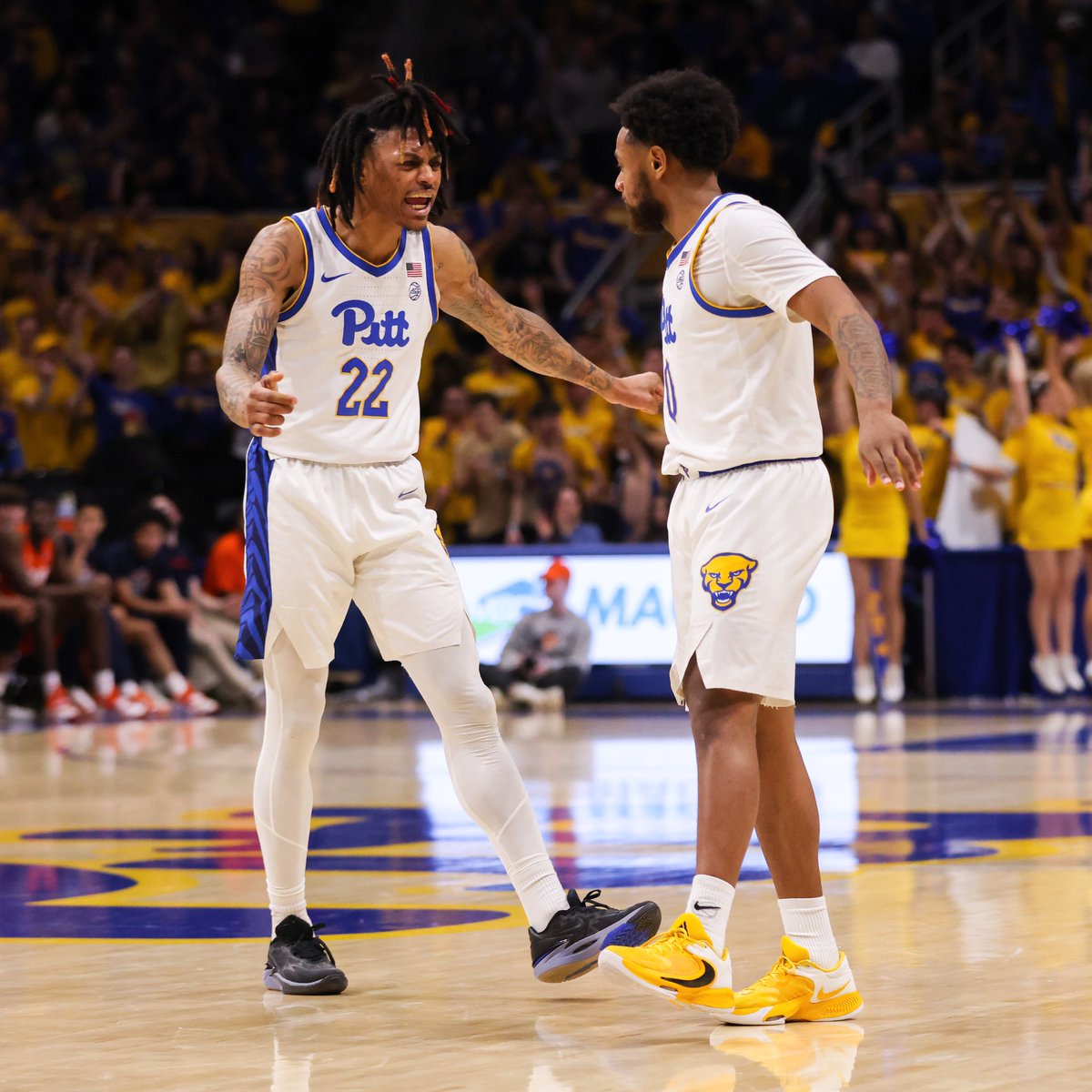 Pitt Panthers tweet media