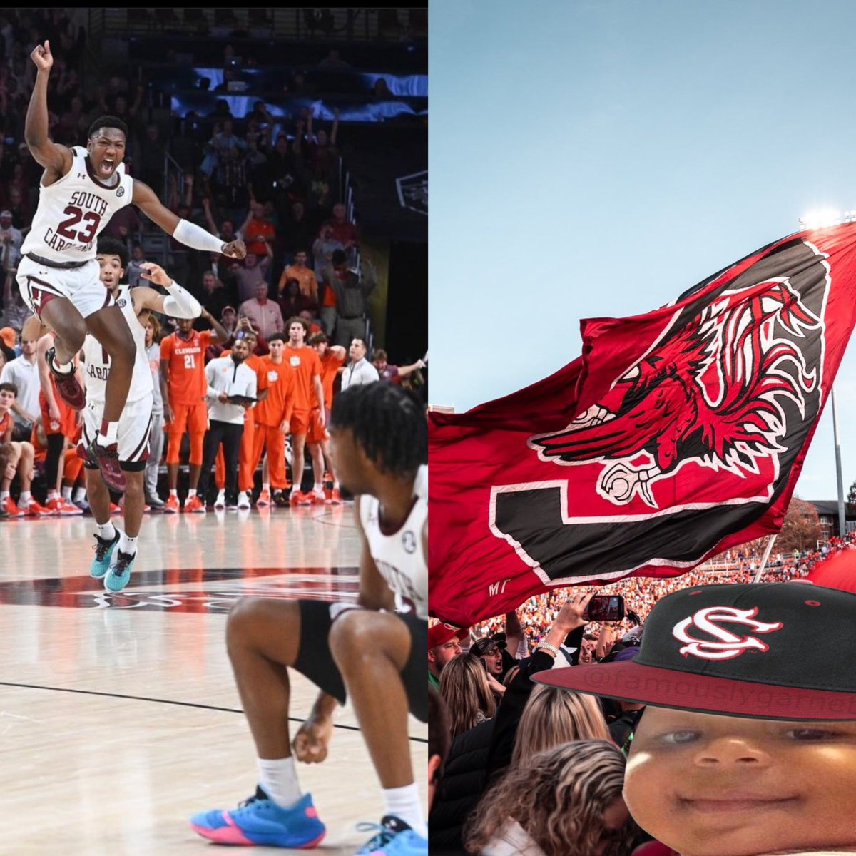 FamouslyGarnet's tweet image. When South Carolina is the reason that Clemson didn't make the playoffs in 2 sports.