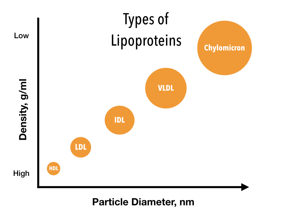 DietHeartNews's tweet photo. 19 studies/6 million people. In 8, those w/ highest LDL lived as long as those with normal/low LDL. In 9, those w/ high LDL lived the longest. Conclusion: High LDL not asso w/ reduced lifespan. LDL promotes immune function & pathogen elimination. 
Annals of Epidemiology & Public  2020;3(1):1040)