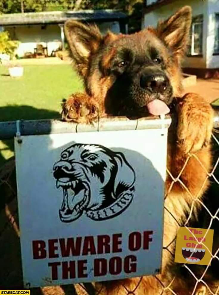 janet_doze's tweet image. 