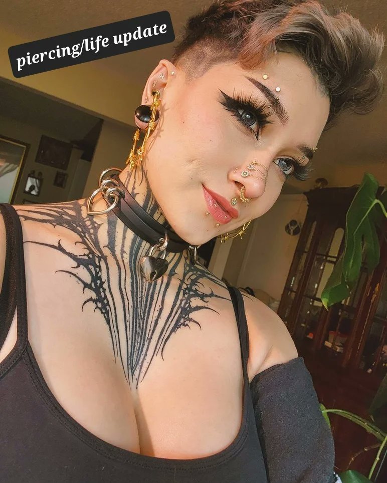 Kiwi 🌙 tweet media