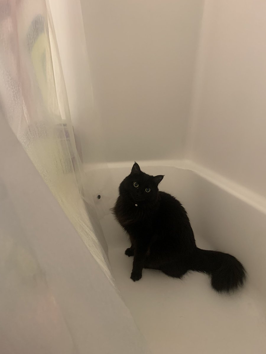 all this time in the tub and she still stiiiiiiinks!!!!