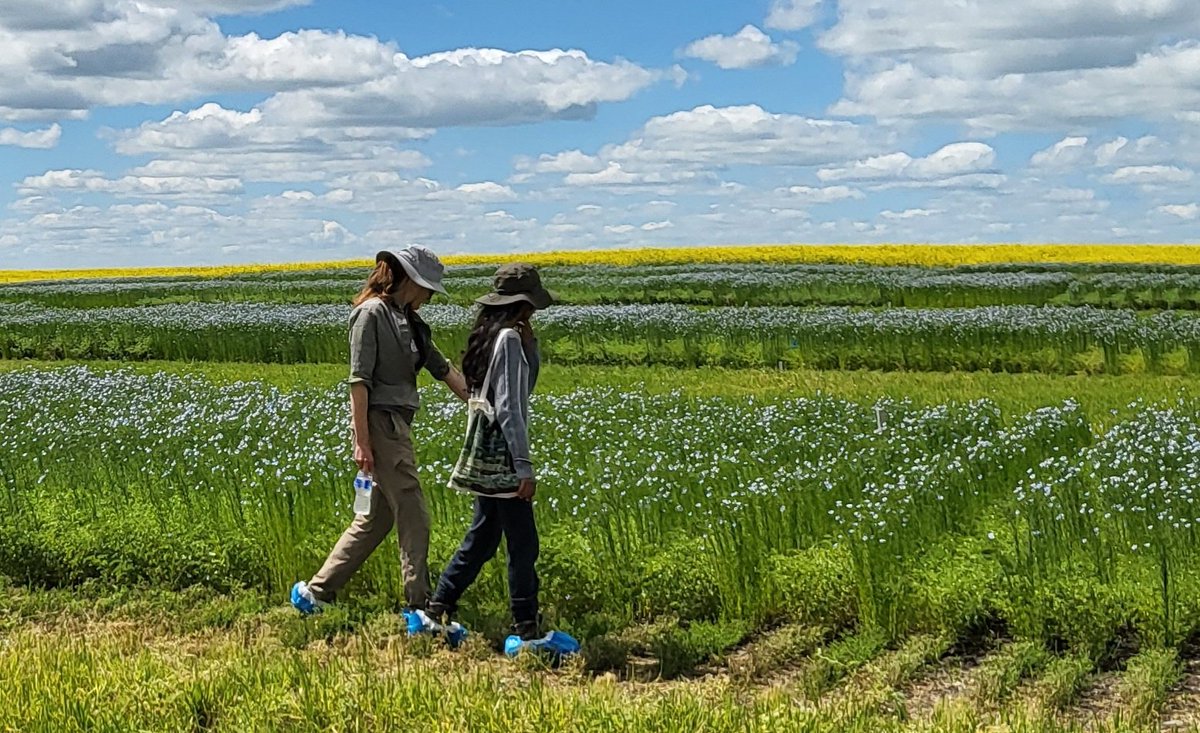 Lana at SE Research Farm tweet media
