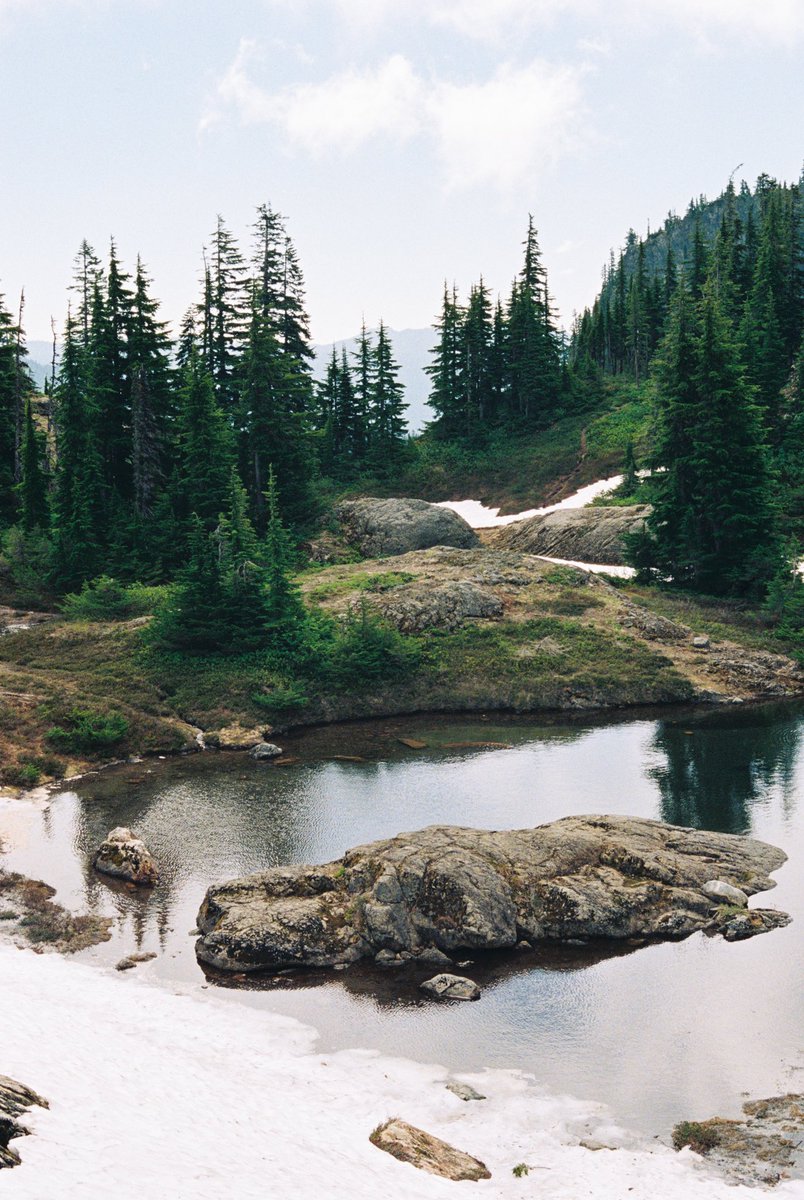 forestoutside's tweet photo. Portra 800 in the Cascades 🎞️ https://t.co/hXoahTp4sw