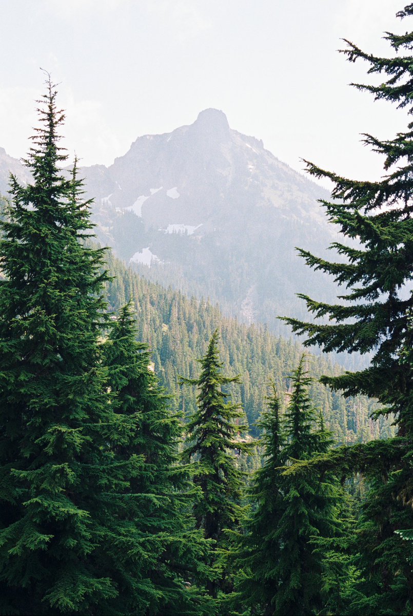 forestoutside's tweet photo. Portra 800 in the Cascades 🎞️ https://t.co/hXoahTp4sw