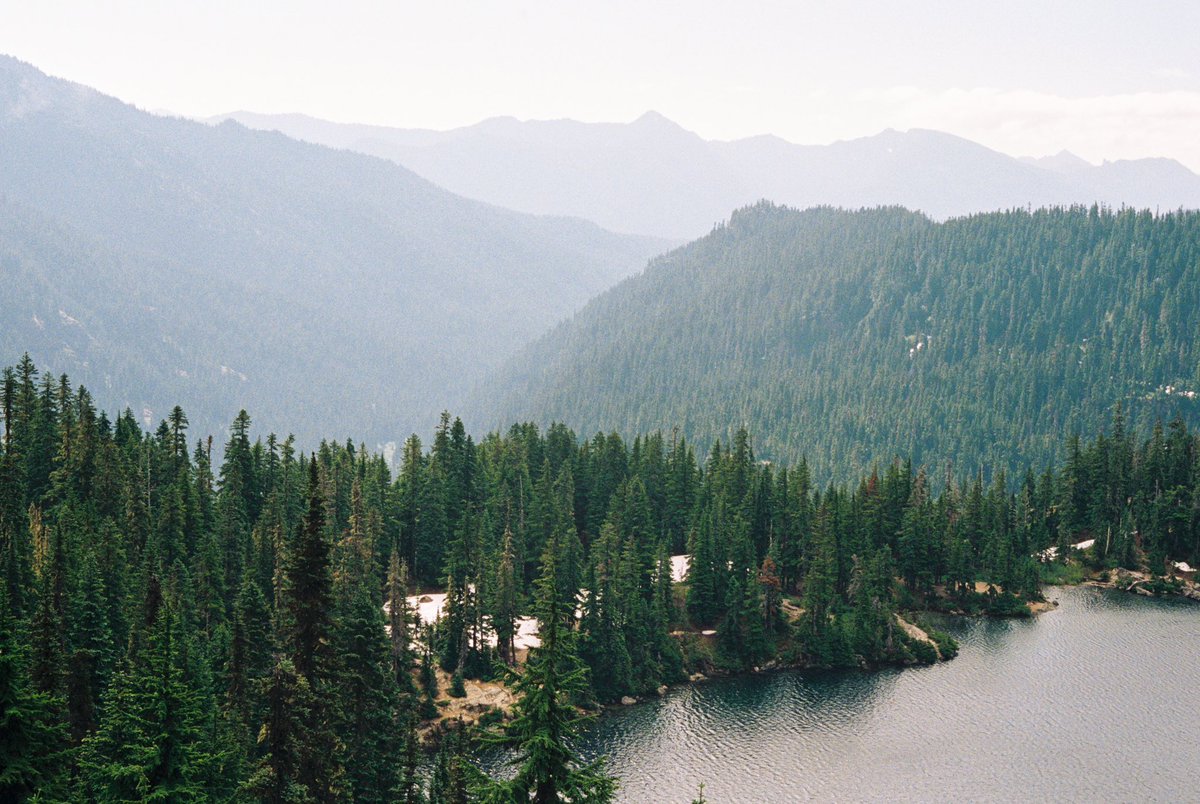 forestoutside's tweet photo. Portra 800 in the Cascades 🎞️ https://t.co/hXoahTp4sw