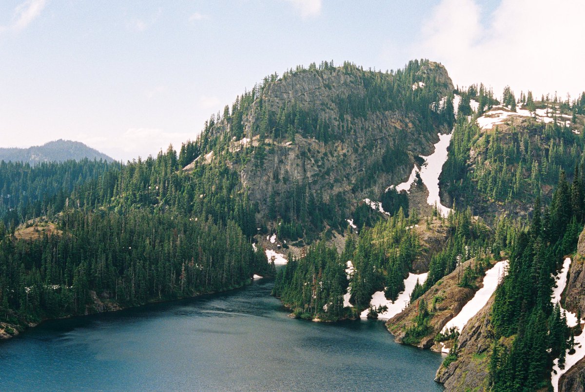 forestoutside's tweet photo. Portra 800 in the Cascades 🎞️ https://t.co/hXoahTp4sw