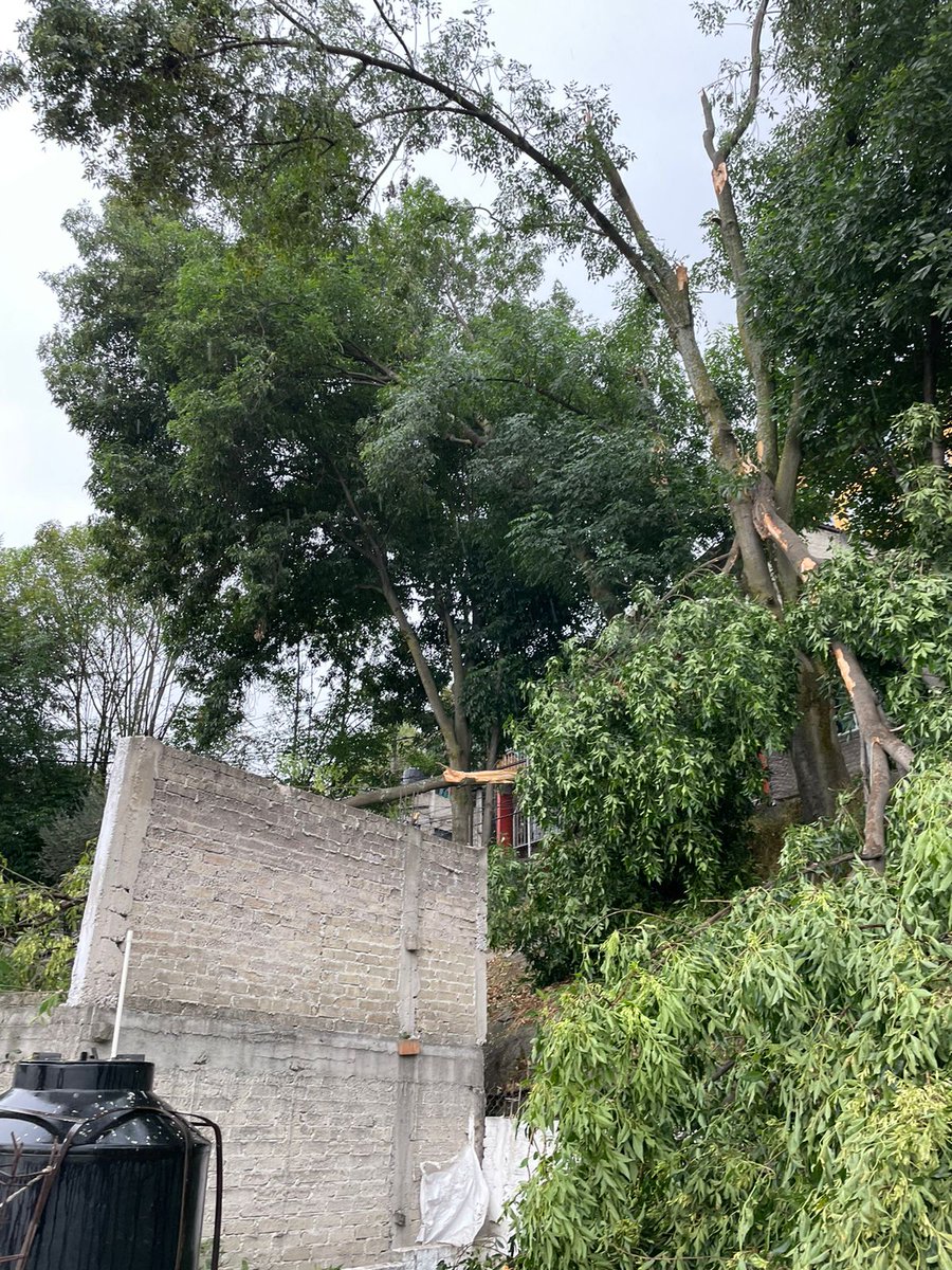 InmovSoluciones's tweet photo. @Bomberos_CDMX @Alcaldia_Coy Ayuda @TlalpanAl  se cayó en mi techo. https://t.co/U3W7ODKdOb