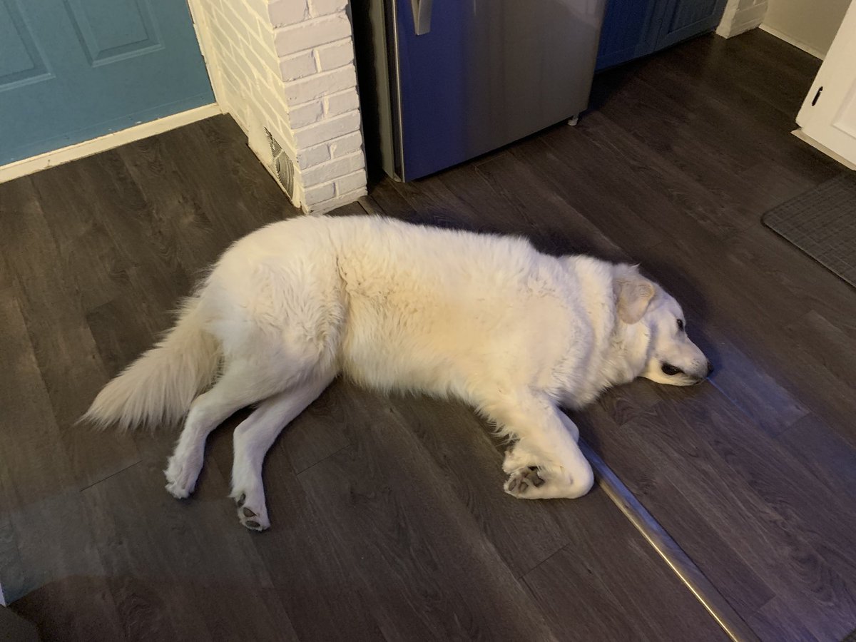 byelacey's tweet image. big mclargehuge