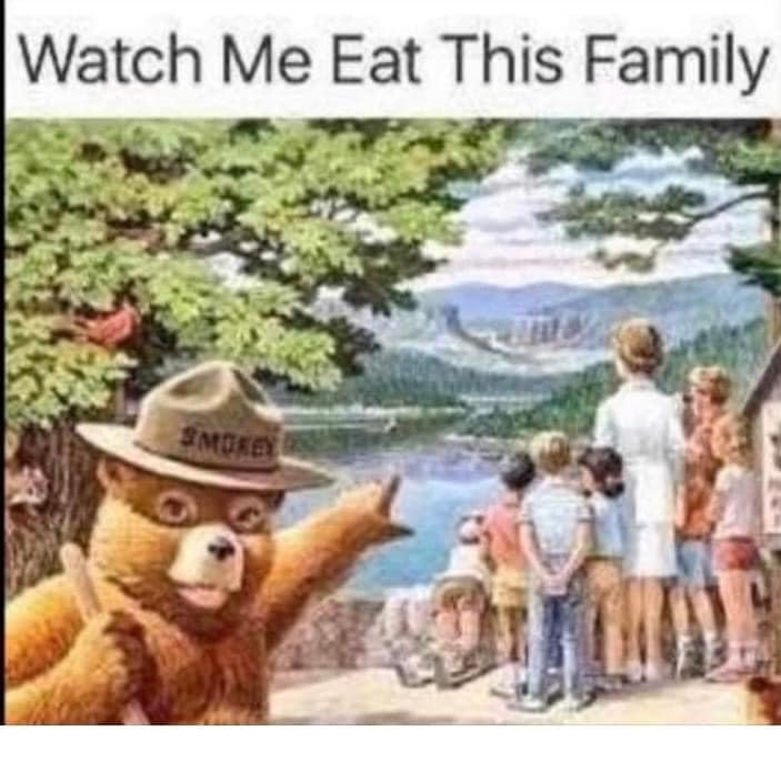 Crap Wildlife Photography tweet media