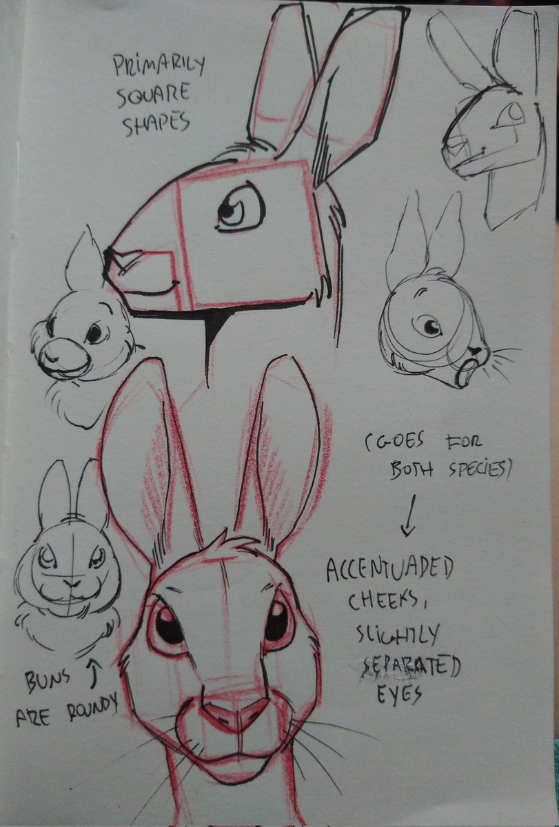 ramahuro's tweet photo. I've been asked about drawing bunnies, so i made some notes https://t.co/sw568yMtYT