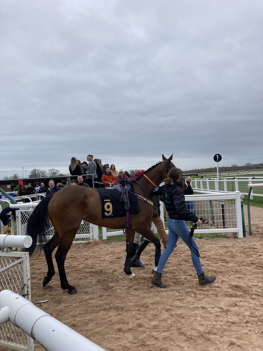 Kay’s Light <a href="/Sean_Houlihan1/">SeanHoulihan</a> <a href="/PH_horseracing/">Paul Henderson</a> <a href="/WarwickRaces/">Warwick Racecourse</a> 🐎