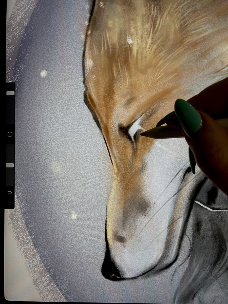 Syrovaia_TG's tweet photo. Wip✍🏻✨

Something beautiful~
#wip #new #newart #Procreate #artist https://t.co/J4yzQHWDTD